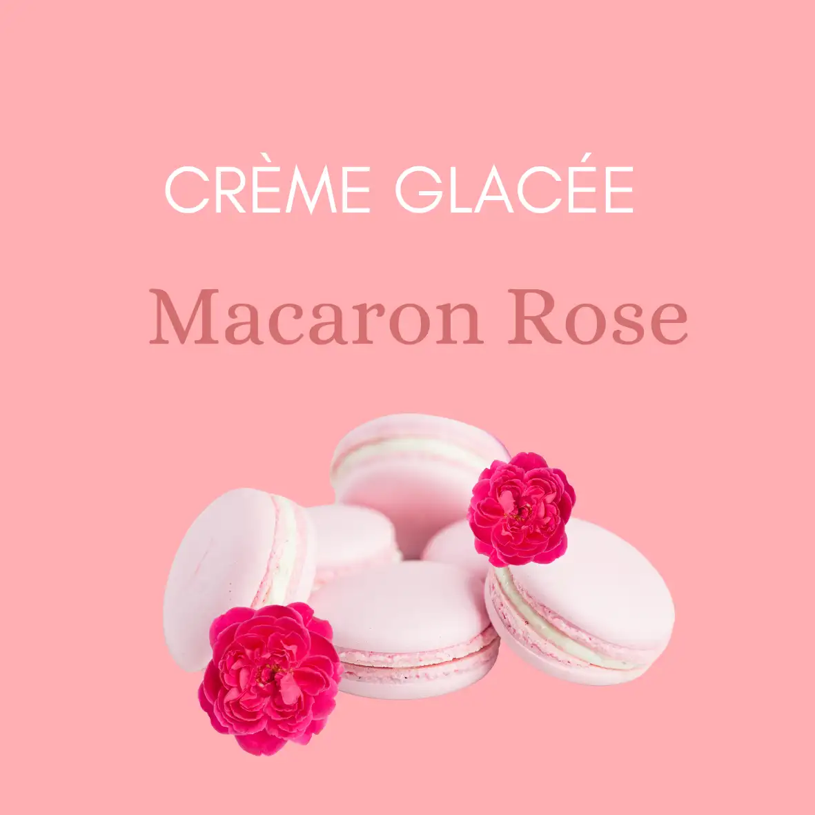 Rose macaron