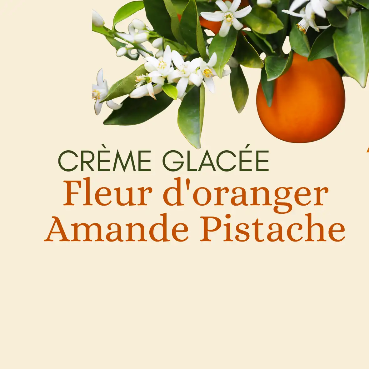 Fleur d'oranger Amande pistache