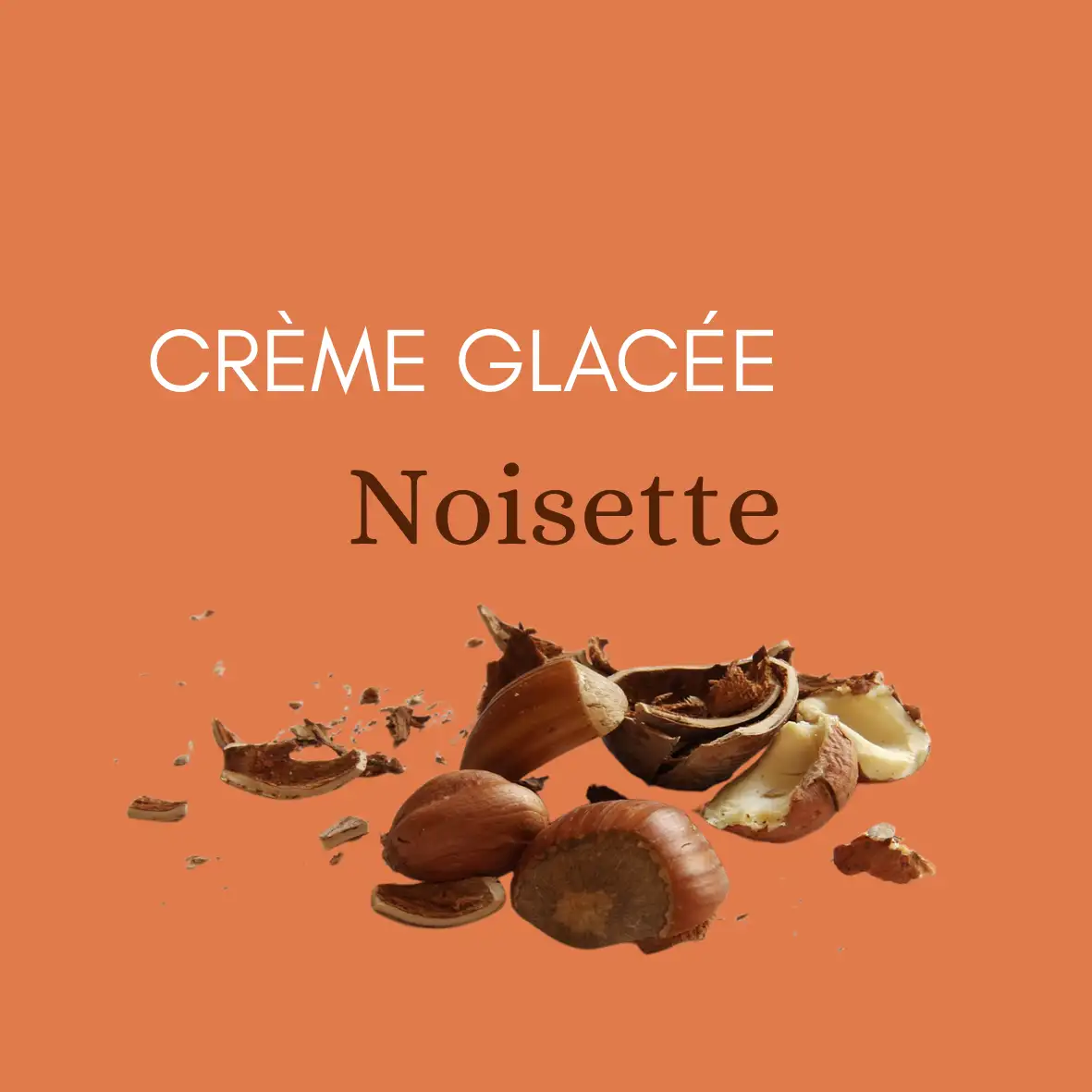 Noisettes, noisettes grillées