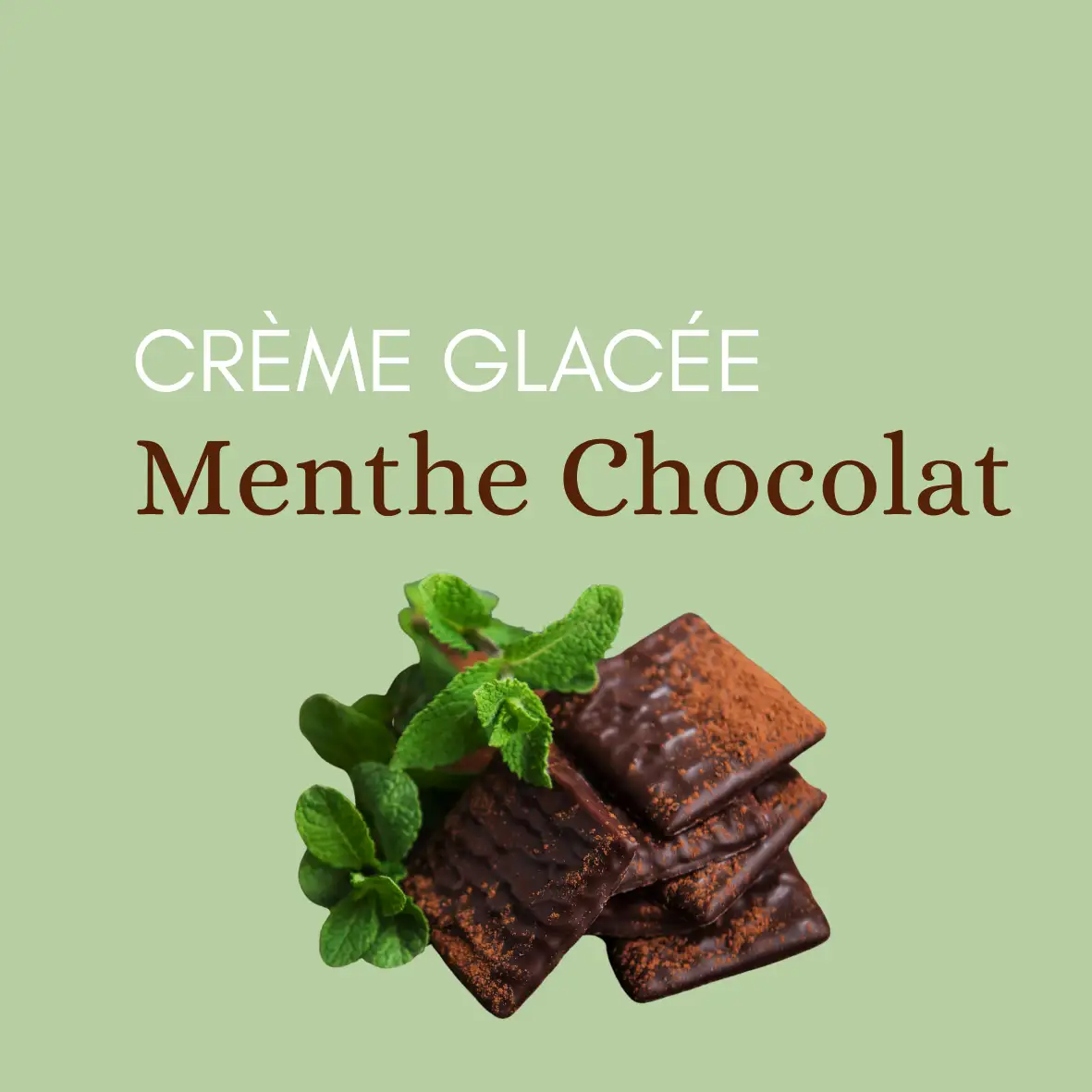 Menthe chocolat