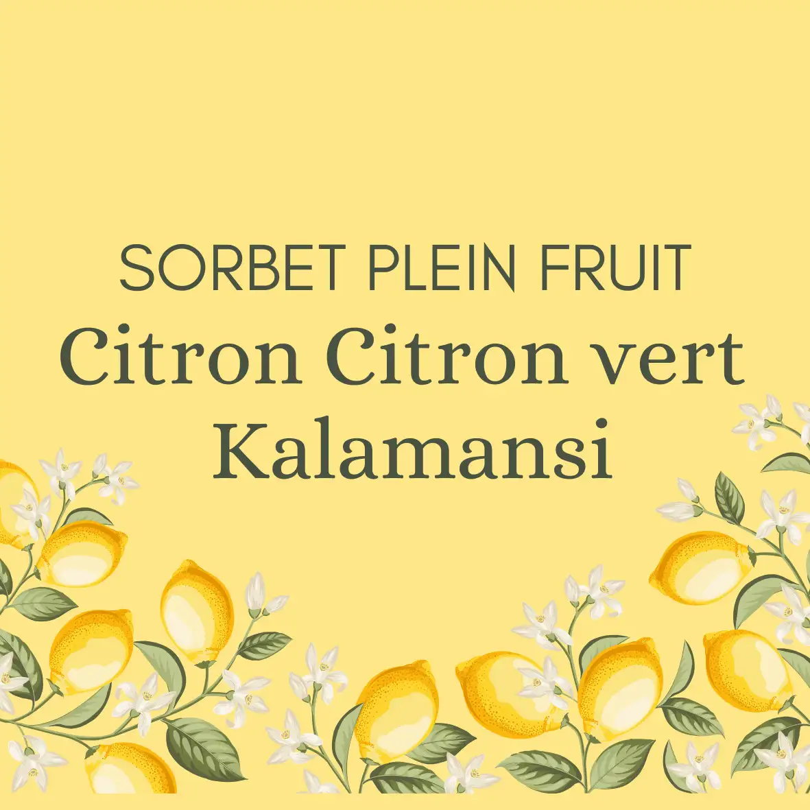 sorbet plein fruit citron citron vert kalamansi