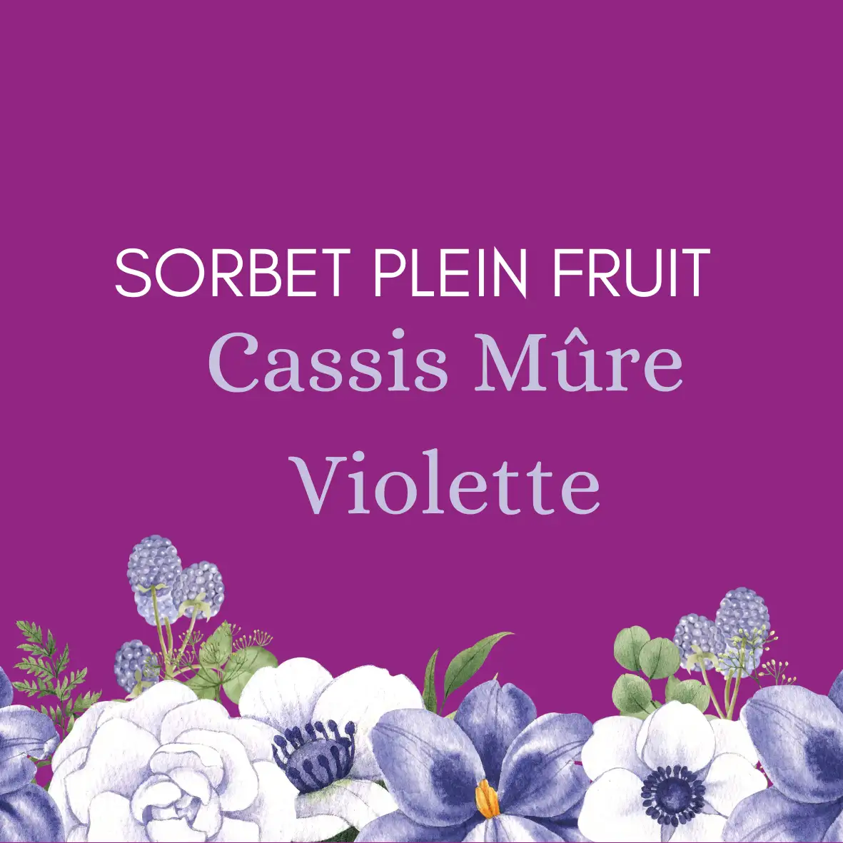 Sorbet plein fruit cassis, mûre, violette